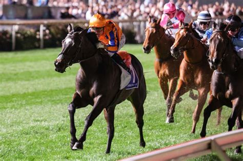 moir stakes tips|AJ Moir Stakes 2024 .